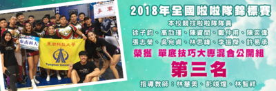 2018年全國啦啦隊錦標賽